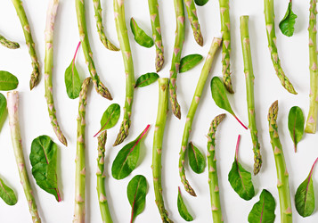 Similar image 20297678