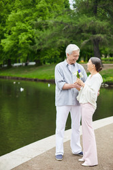 Similar image 20297867