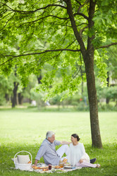 Similar image 20297881