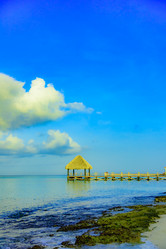 Similar image 20301573