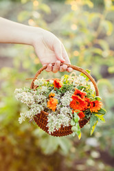 Similar image 20452296