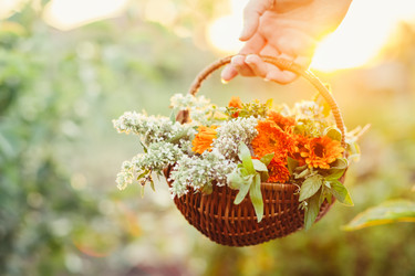 Similar image 20452297