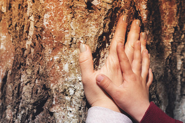 Similar image 20457602