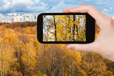 Similar image 20453111