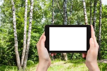 Similar image 20453119