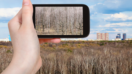 Similar image 20453120