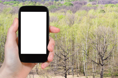 Similar image 20453125