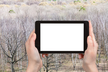 Similar image 20453126