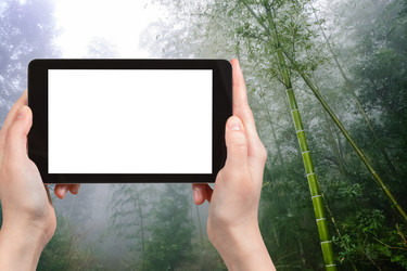 Similar image 20453134