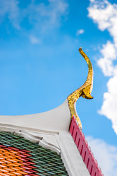 Similar image 20452764