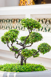 Similar image 20452768