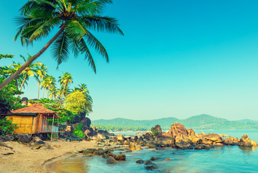 Similar image 20452779