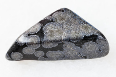 Similar image 20453285