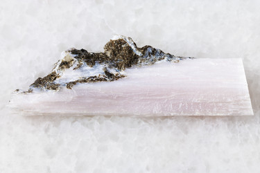 Similar image 20453352