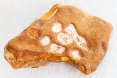 Similar image 20453369