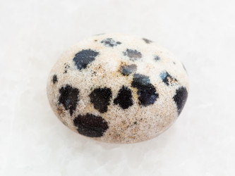 Similar image 20453402