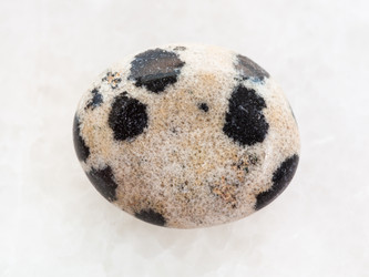 Similar image 20453403