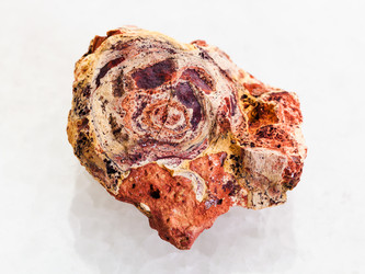 Similar image 20453497