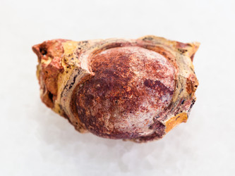 Similar image 20453498