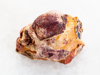 Similar image 20453499