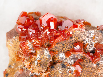 Similar image 20453544