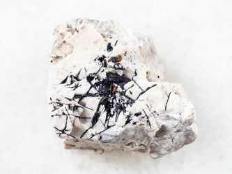 Similar image 20453571