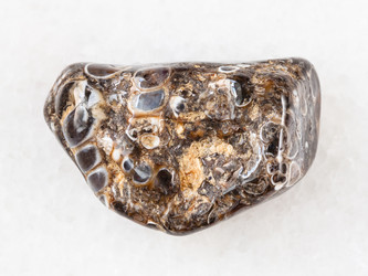 Similar image 20453619