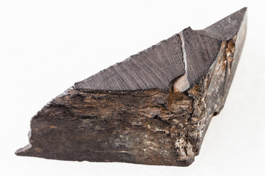 Similar image 20453715