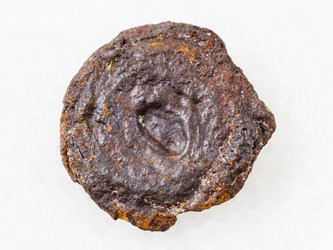 Similar image 20453736