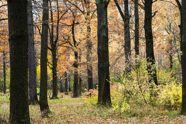 Similar image 20453853