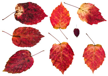 Similar image 20453861