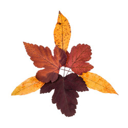 Similar image 20453871