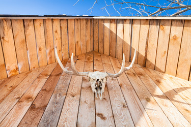 Similar image 20453893