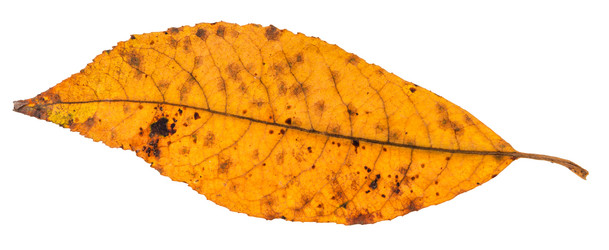 Similar image 20453936