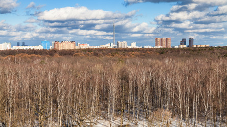 Similar image 20453937