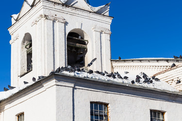 Similar image 20453939