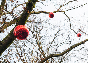 Similar image 20454020