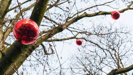 Similar image 20454027