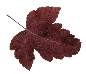 Similar image 20454029