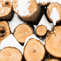 Similar image 20454052