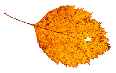 Similar image 20454110