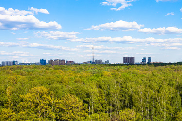 Similar image 20454189