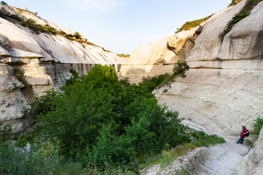 Similar image 20454195