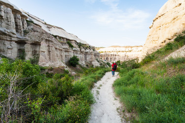 Similar image 20454200