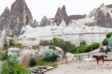 Similar image 20454226