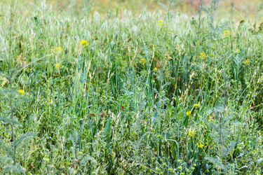 Similar image 20454228