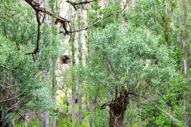 Similar image 20454261