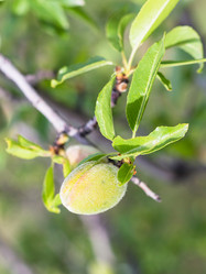 Similar image 20454263