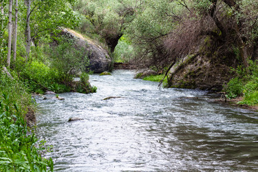 Similar image 20454278