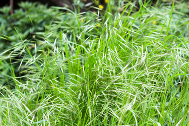 Similar image 20454280